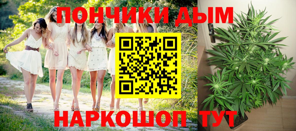 Бошки марихуана ГИДРОПОН  МАРИХУАНА Bruce Banner  МАРИХУАНА ГИДРОПОН  Бошки Шишки Bruce Banner  Ессентуки  Вход с VPN 